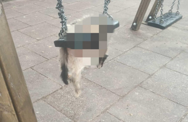 _kakopoiisi_zoon.jpg _kakopoiisi_zoon