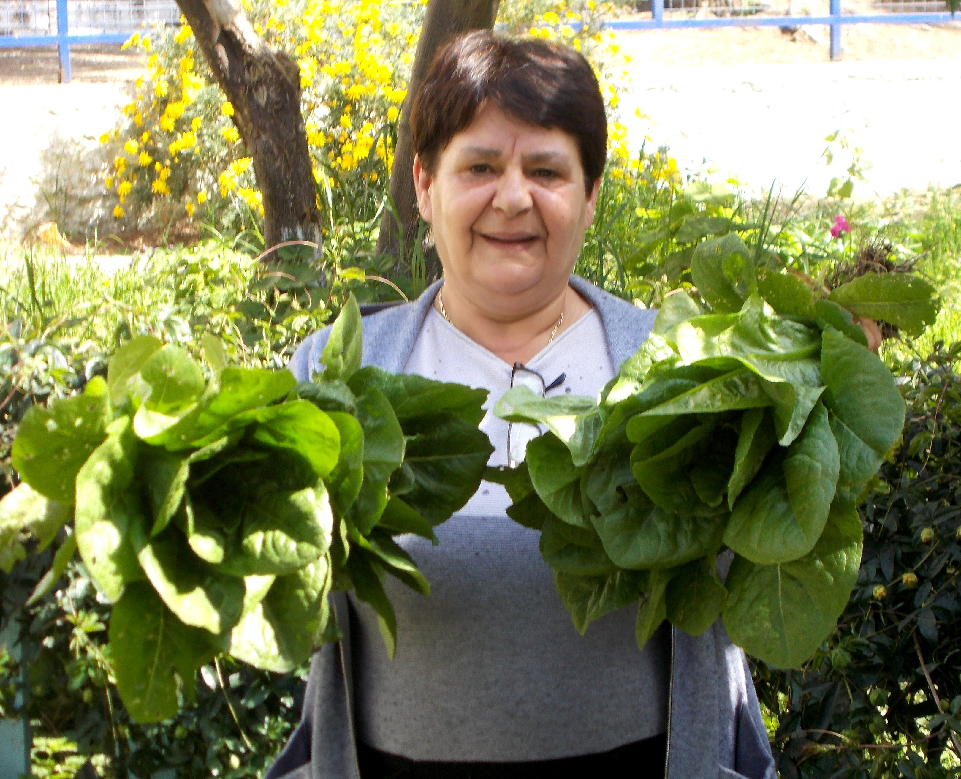 mathites.jpg mathites