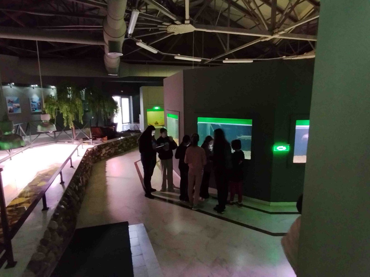 Ενυδρείο ΚΕΠΕΑ Καστοριάς