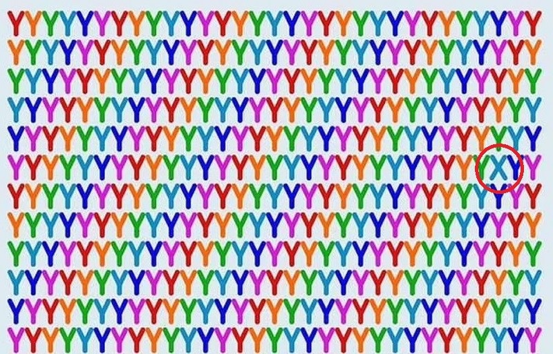 Λύση για γρίφο με χ και ψ