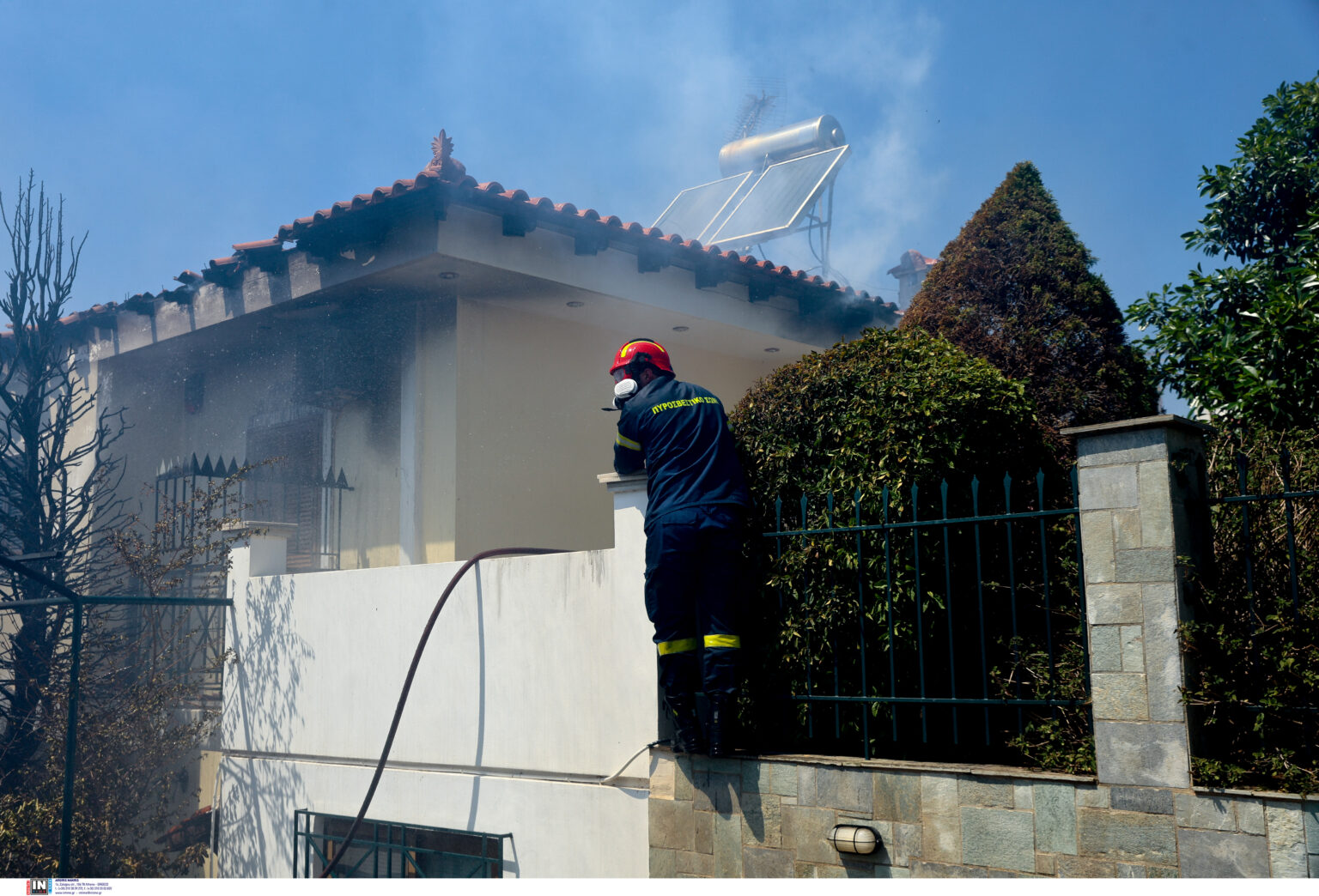 4724835-1536x1044.jpg Θυμάρι