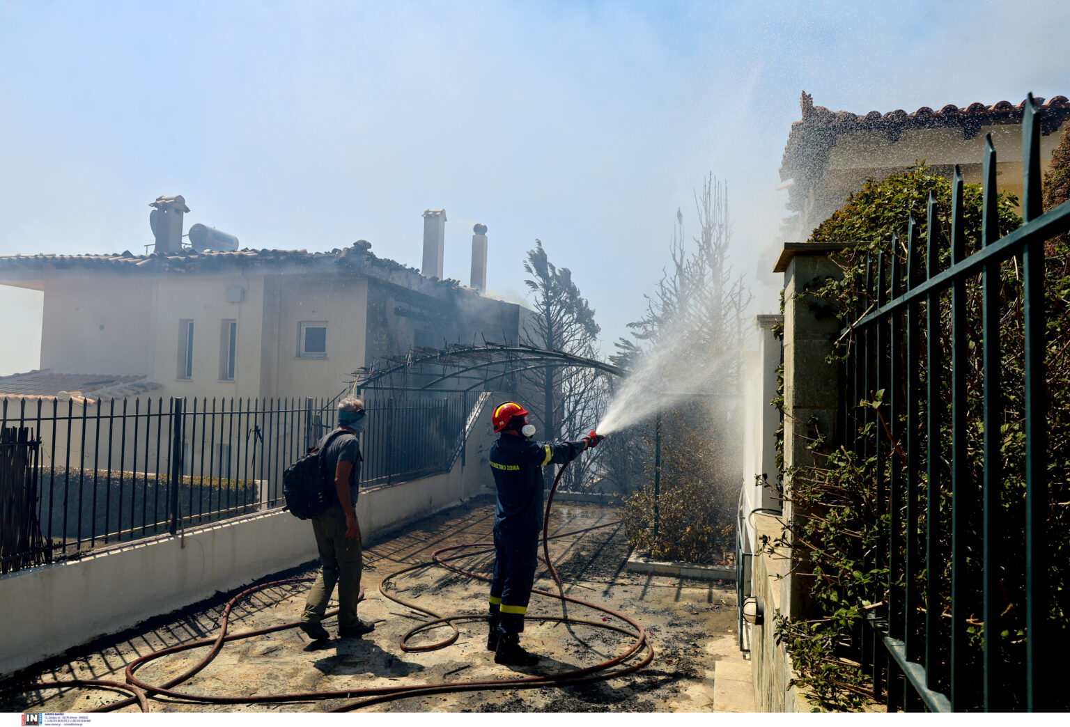 4724838-1536x1044.jpg Θυμάρι