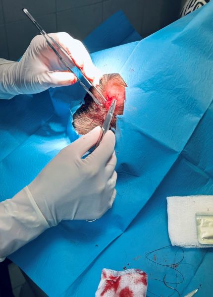 3.jpg Φοιτητές ΑΠΘ σε κέντρο Υγείας