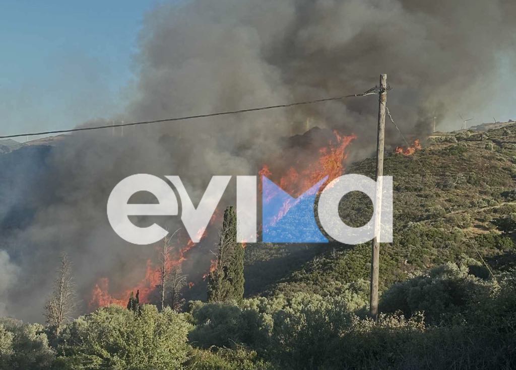 φωτιά στην Εύβοια