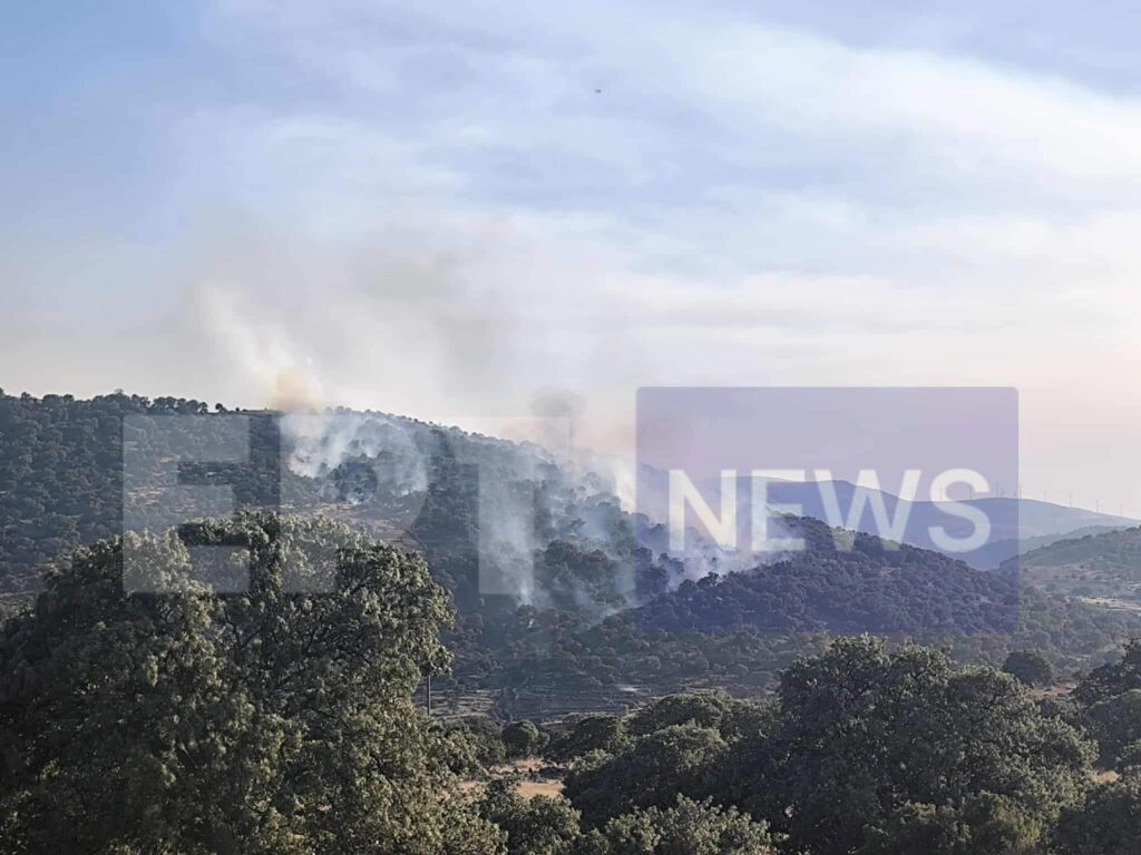 Φωτιά στη Λέσβο
