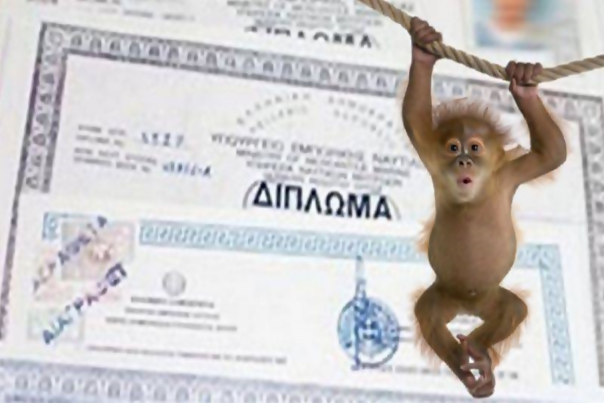 ΠΛΑΣΤΑ ΠΤΥΧΙΑ