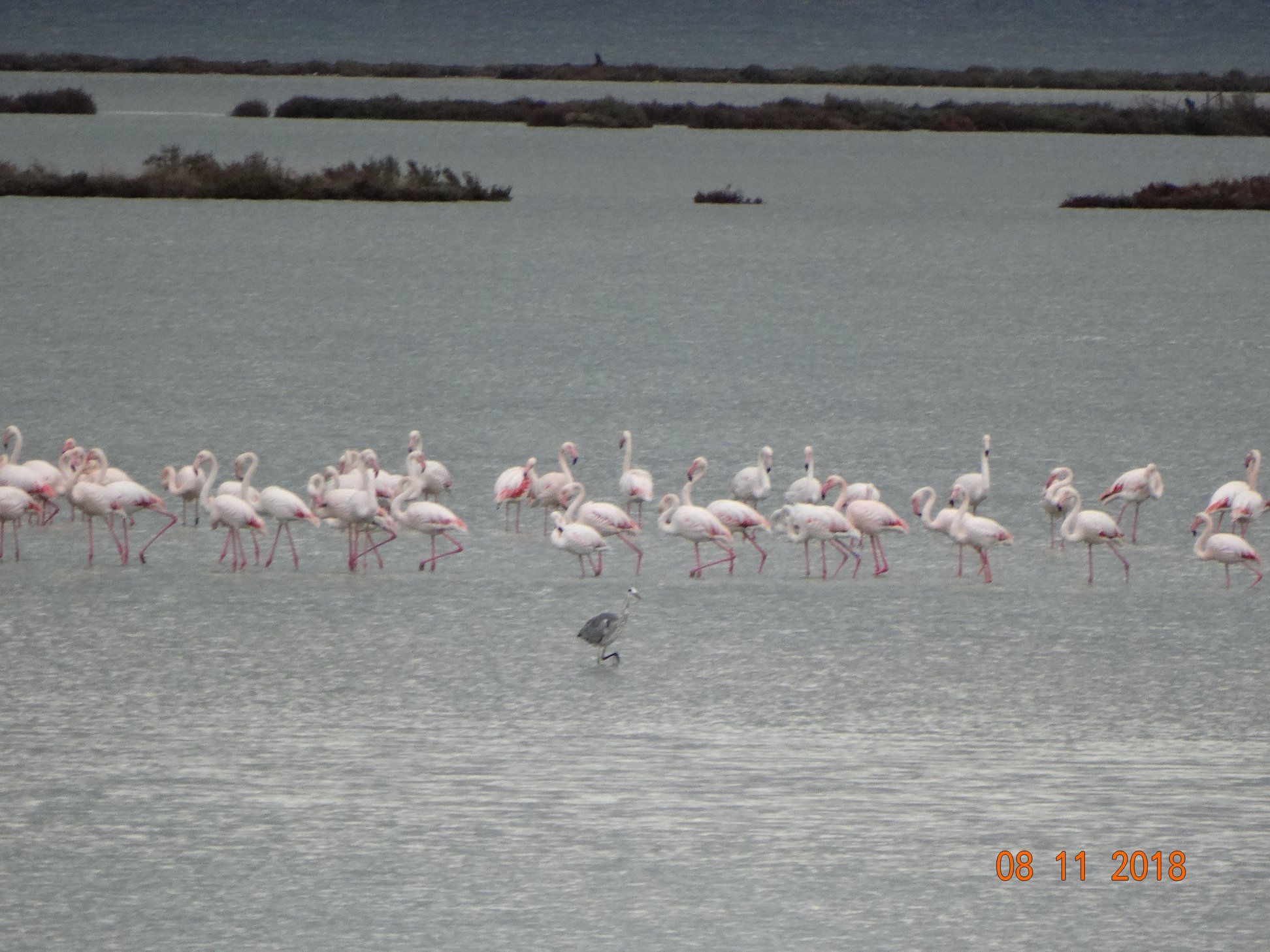 kentroperiballontikis.jpg kentroperiballontikis.jpg