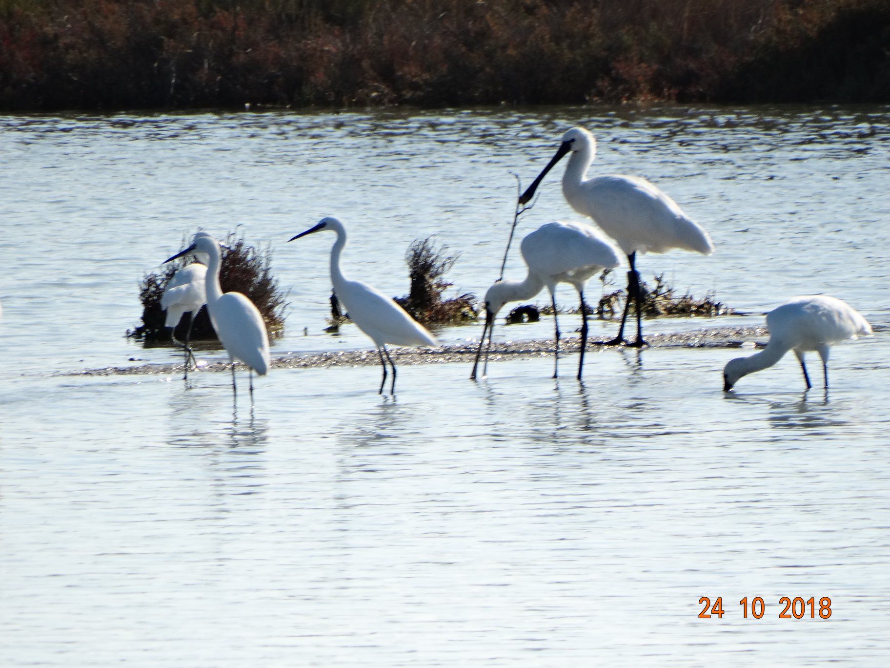 kentroperiballontikis6.jpg kentroperiballontikis6.jpg