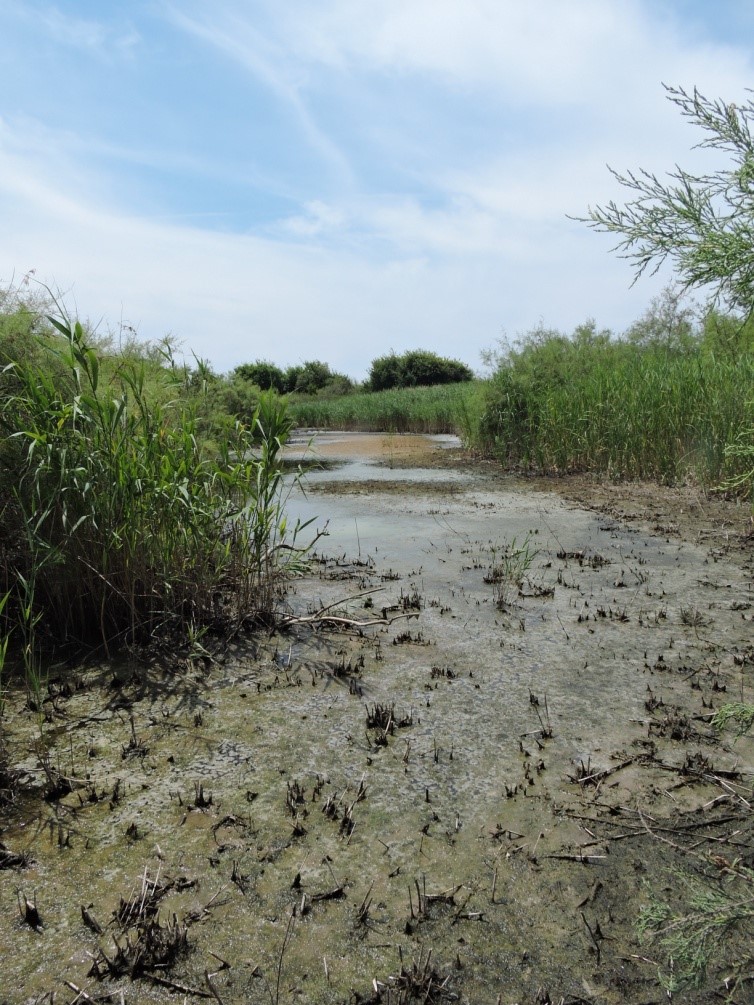 limnh.jpg Λιμνοθάλασσα Αντινιώτη