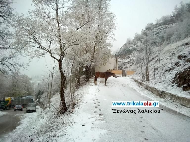 Χιόνια στα Τρίκαλα