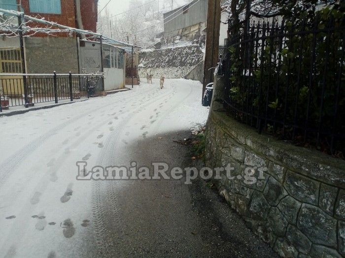 Χιόνι στη Λαμία