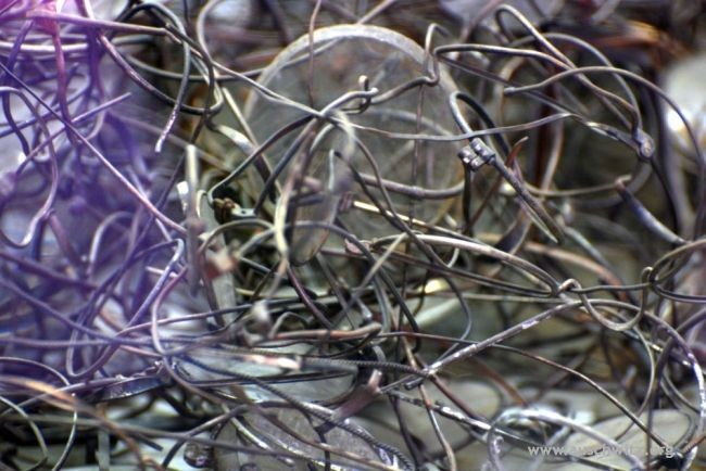 aousvits6.jpg γυαλια αουσβιτς