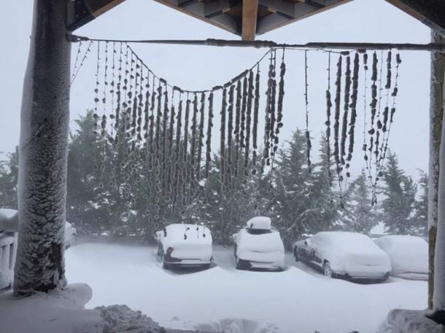 livadi-arachova2.jpg livadi-arachova4