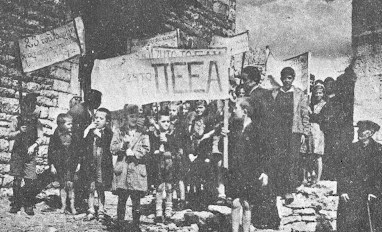 biniani_1032019_12.jpg biniani_1032019_12.jpg