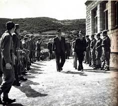 biniani_1032019_8.jpg biniani_1032019_8.jpg