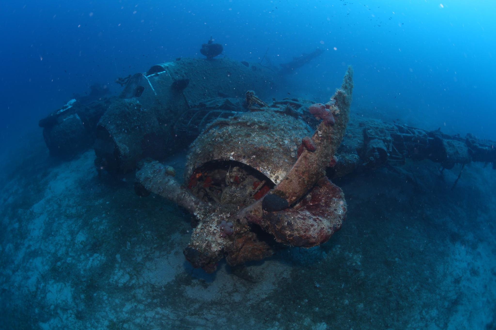 thoktaridiskostas3baufighternaxos.jpg 2