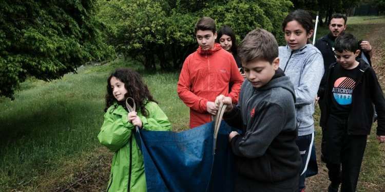 arktouros3.jpg Αρκουδάκι του Αρκτούρου