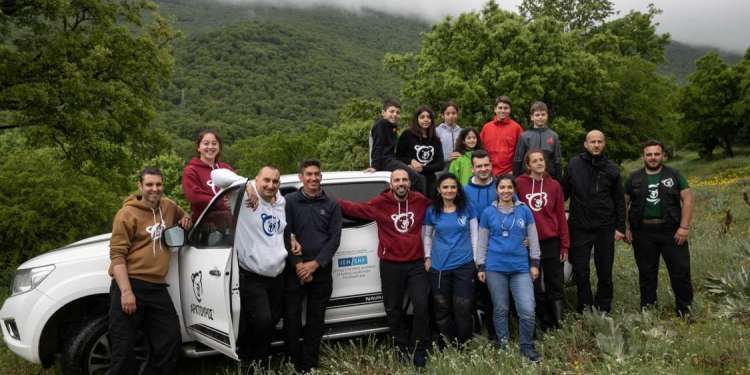 arktouros4.jpg Αρκουδάκι του Αρκτούρου