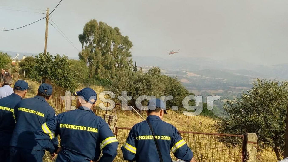 φωτια ευβοια