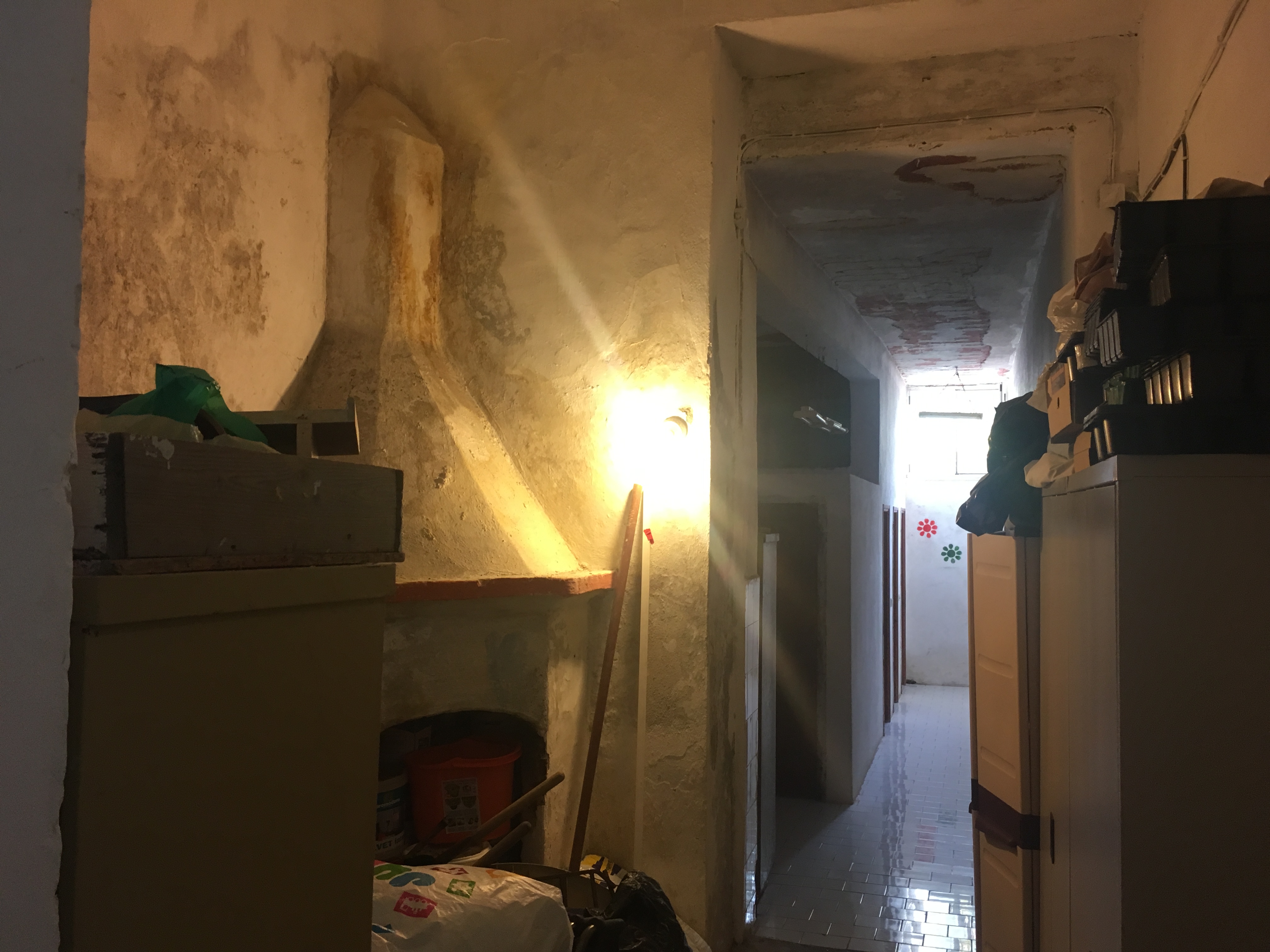 img-9203.jpg img-9203.jpg