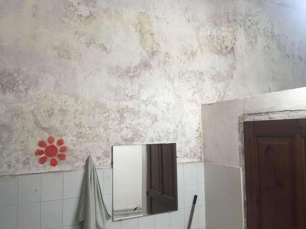 img-9206.jpg img-9206.jpg