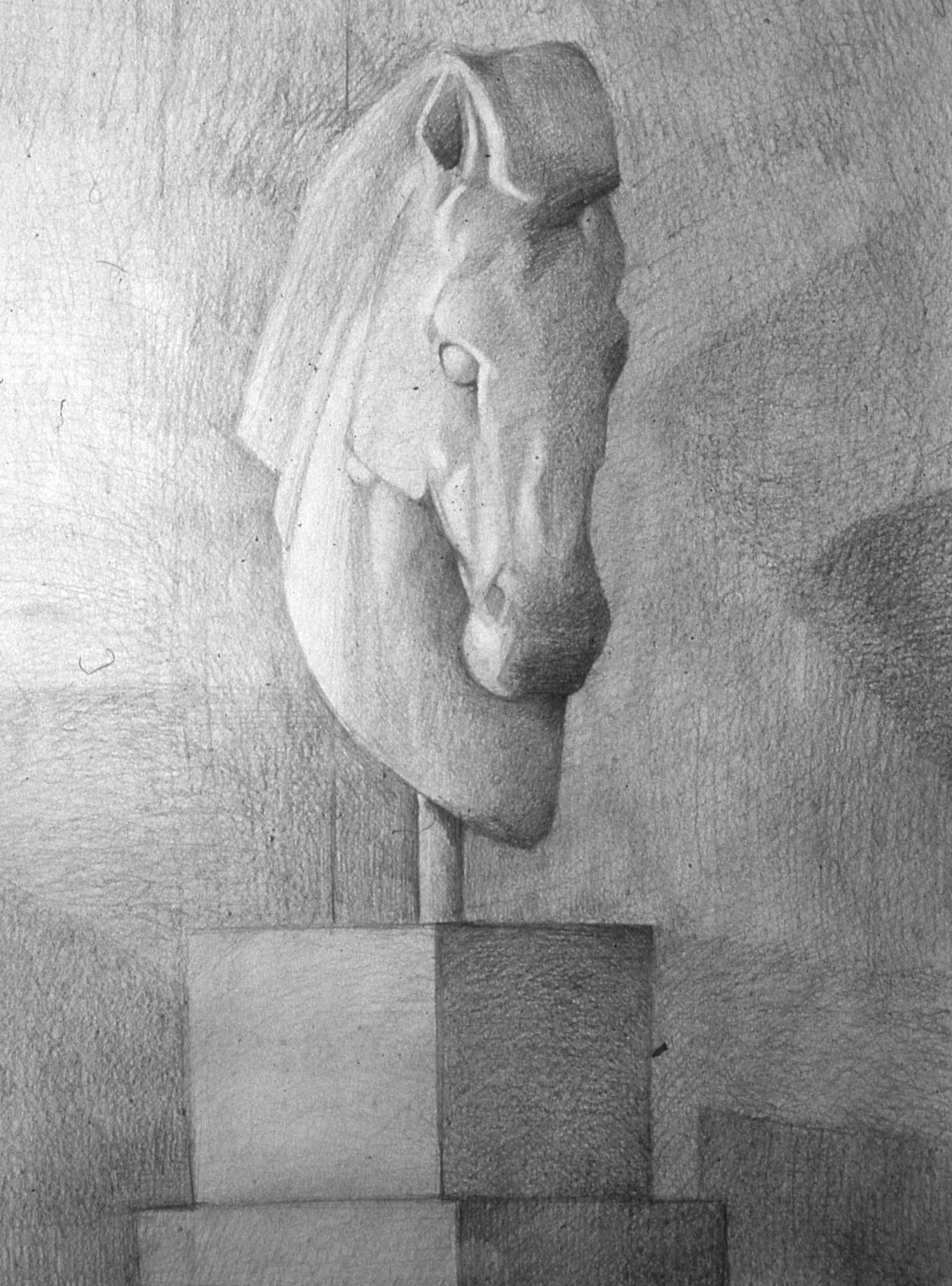 shedio.jpg shedio.jpg