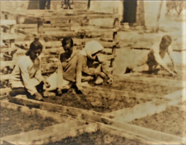 agrotes-oikogeneia.jpg Αγροτική οικογένεια