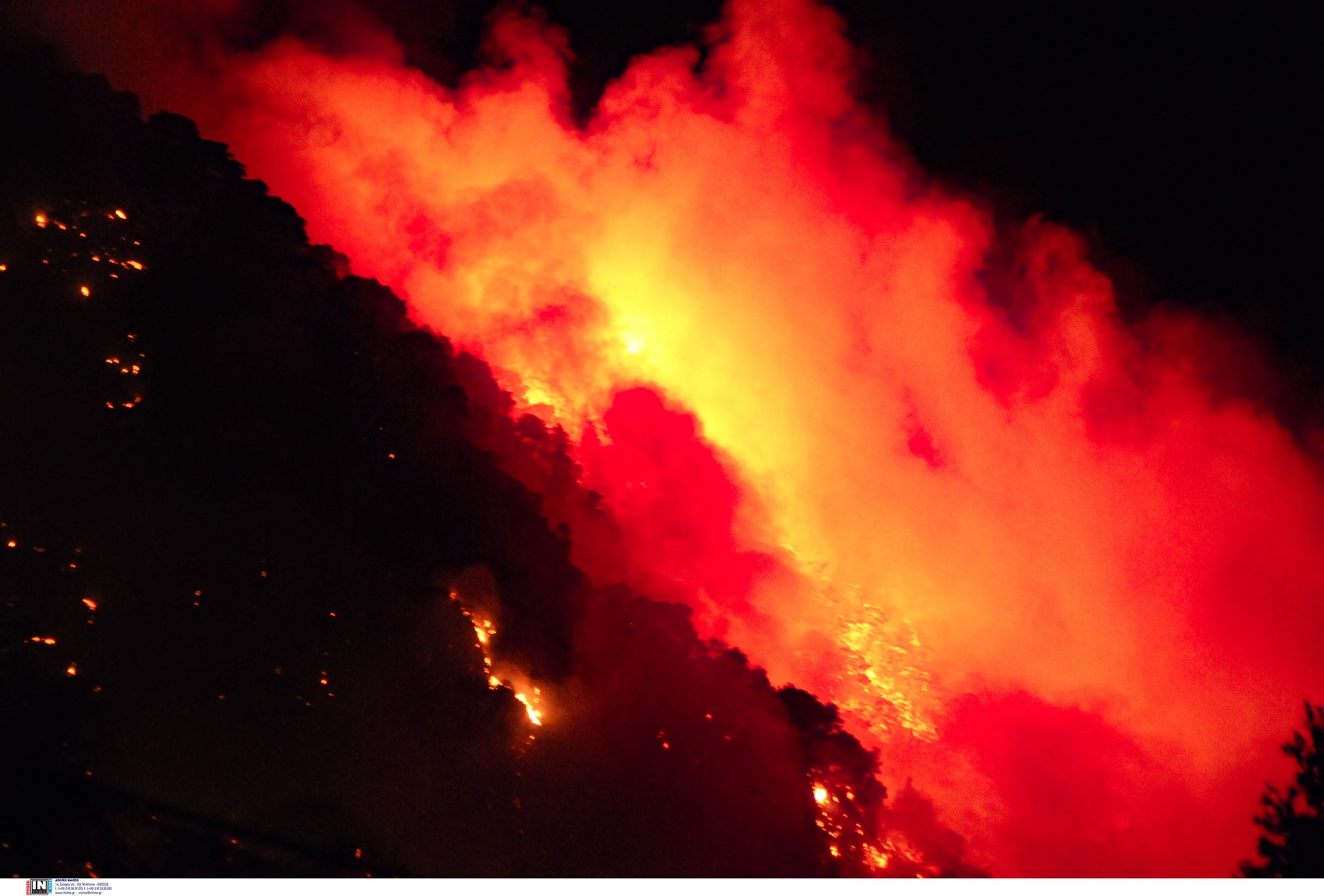 Φωτιά στον Σχίνο Κορινθίας