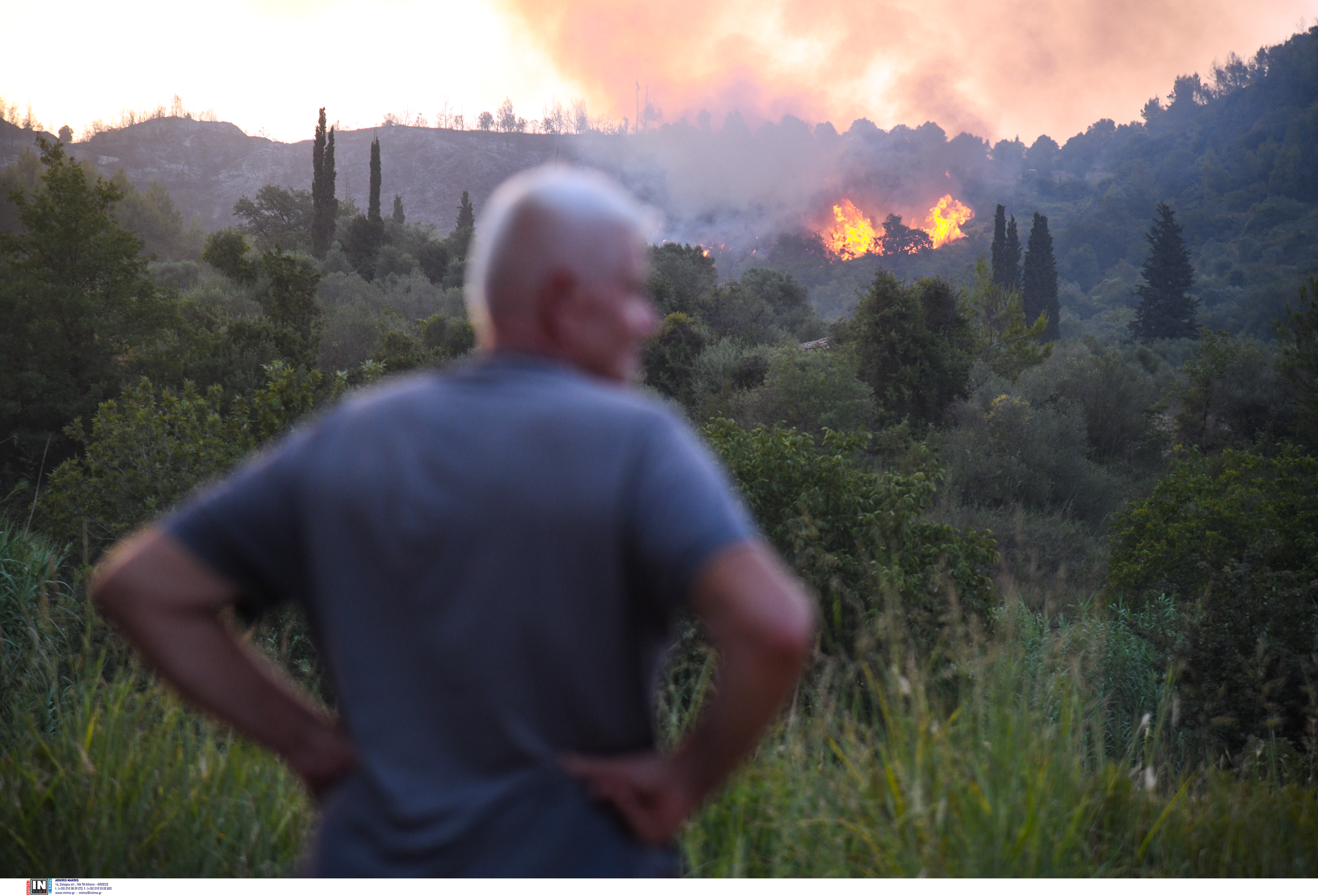 archaia_olympia.jpg archaia_olympia.jpg