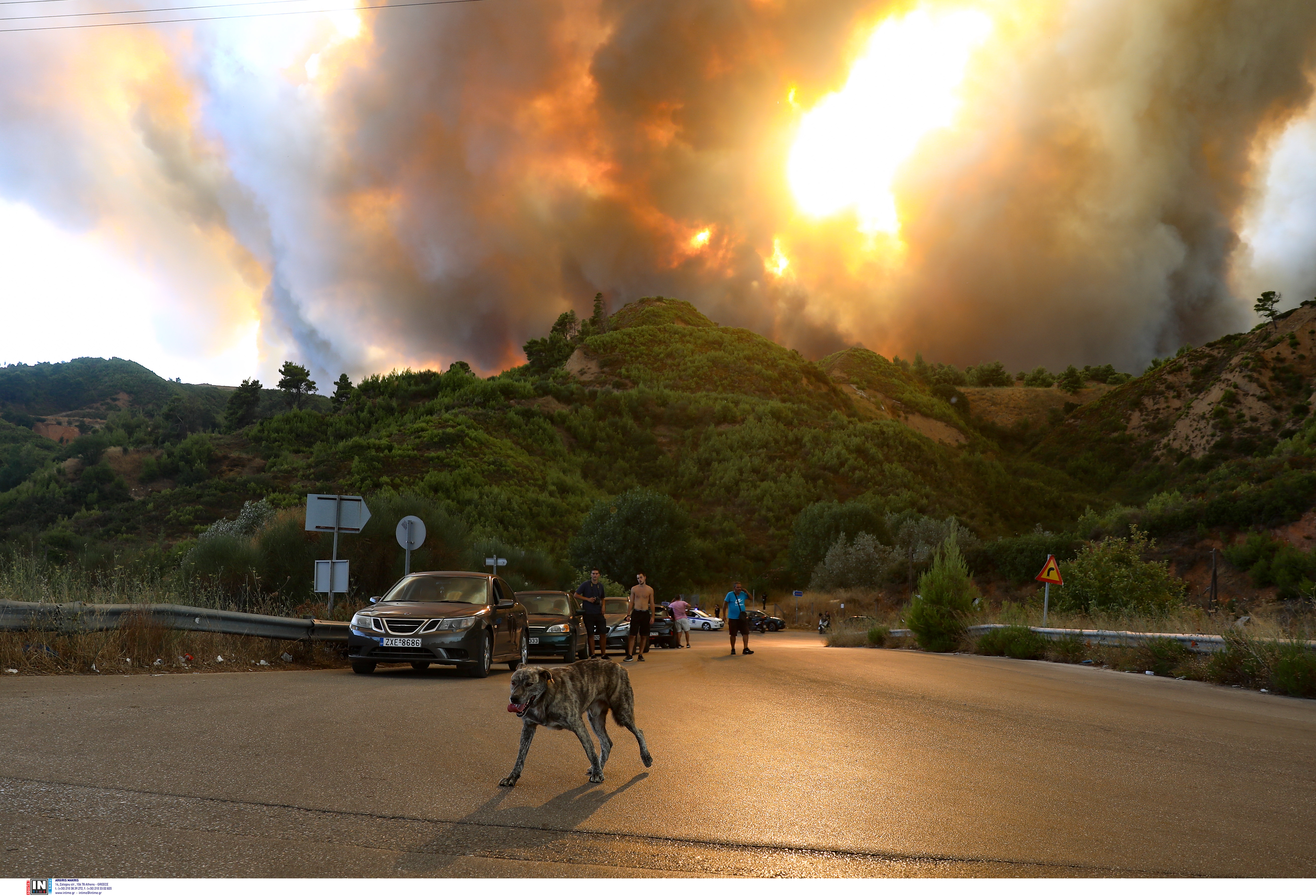 pyrkagia4.jpg pyrkagia4.jpg