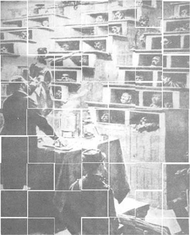 ajiolo2_2.jpg ajiolo2_2.jpg