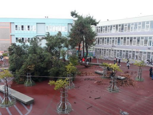 dedro-1.jpg dedro-1.jpg