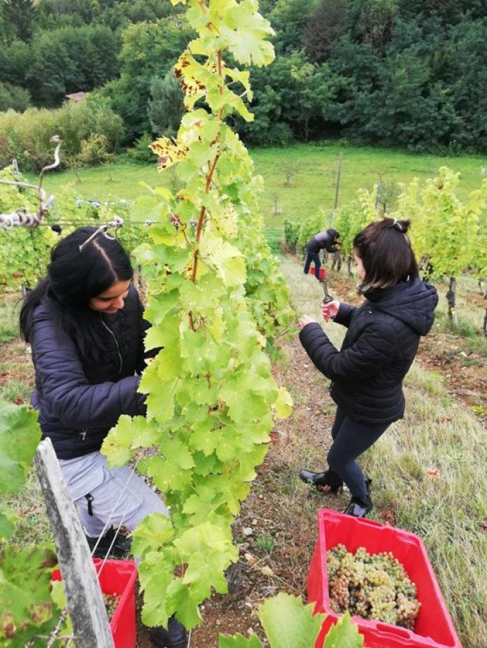 5ο ΕΠΑΛ Ηρακλείου