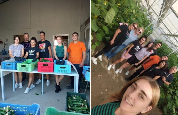 epal_kato_axaias2.jpg ΕΠΑΛ Κάτω Αχαΐας