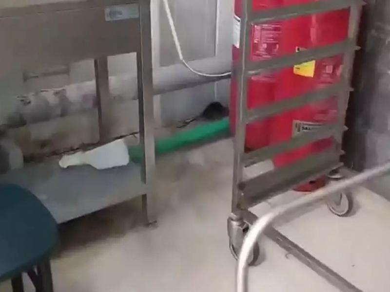 ΑΠΘ, φοιτητική λέσχη