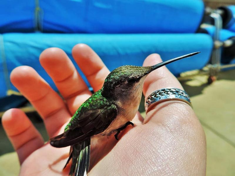 ... κάνω, όμως, αυτό που μου αναλογεί...