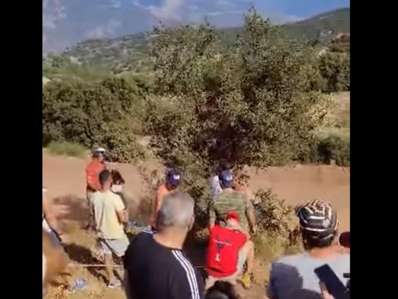 ράλλυ ακρόπολις ελιά