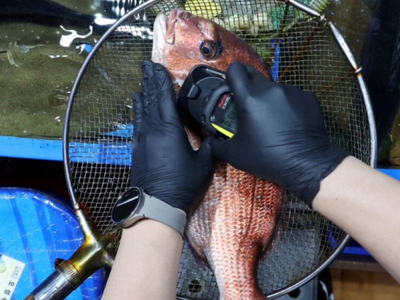 «Βραζιλία: Οικογένεια ανακαλύπτει «ανθρώπινα» δόντια σε ψάρι» (Pic)