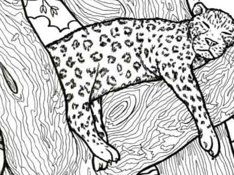 Οφθαλμαπάτη με λεοπάρδαλη