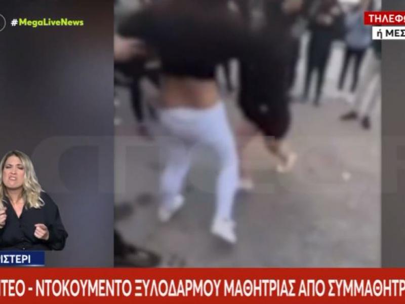 ξυλοδαρμός Περιστέρι