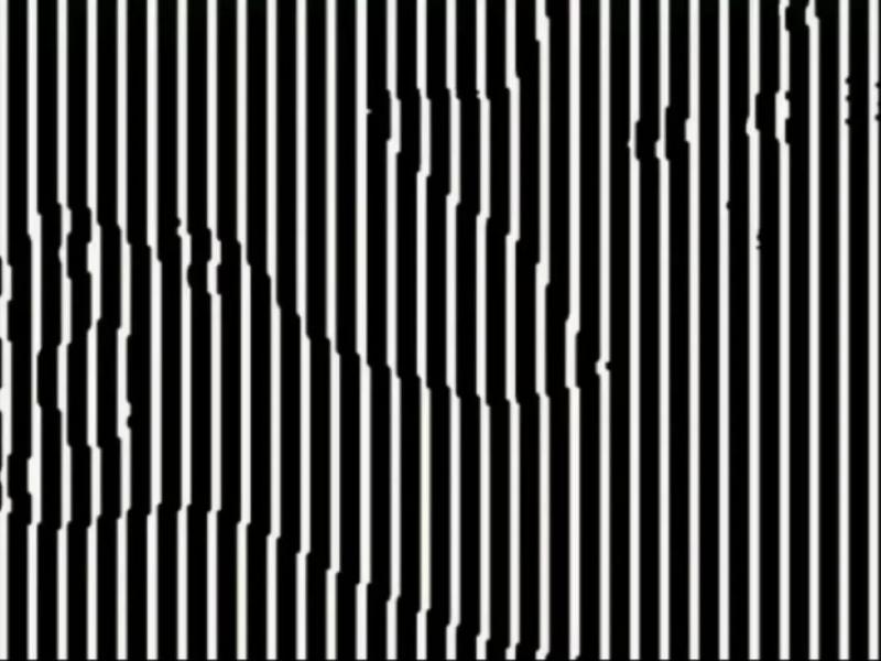 Οφθαλμαπάτη με το ζώο