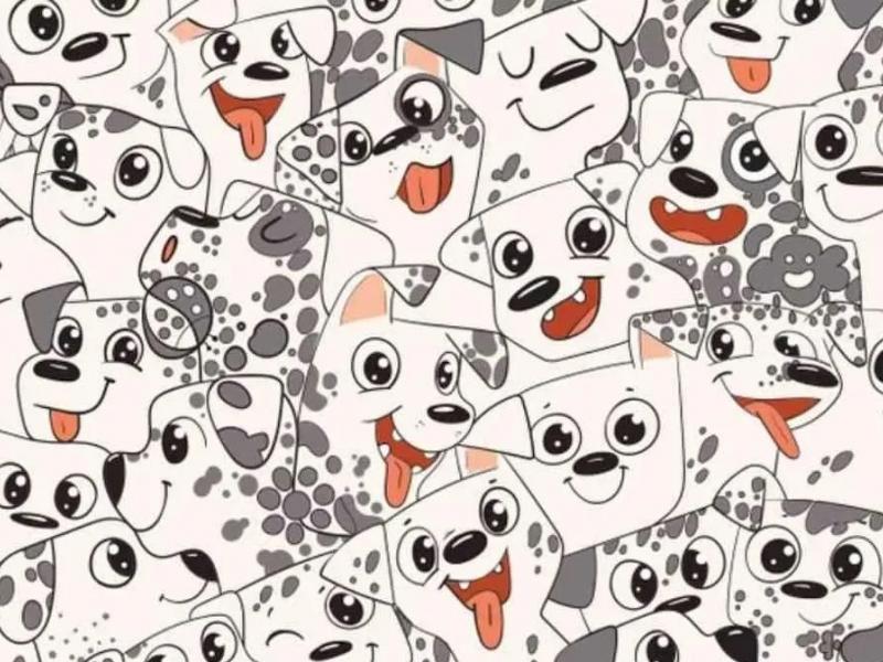 Οφθαλμαπάτη με σκύλους