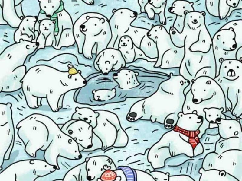 Οφθαλμαπάτη με αρκούδες