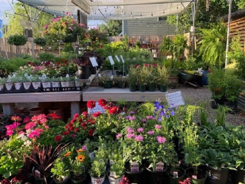 Σπαζοκεφαλιά με γάτα