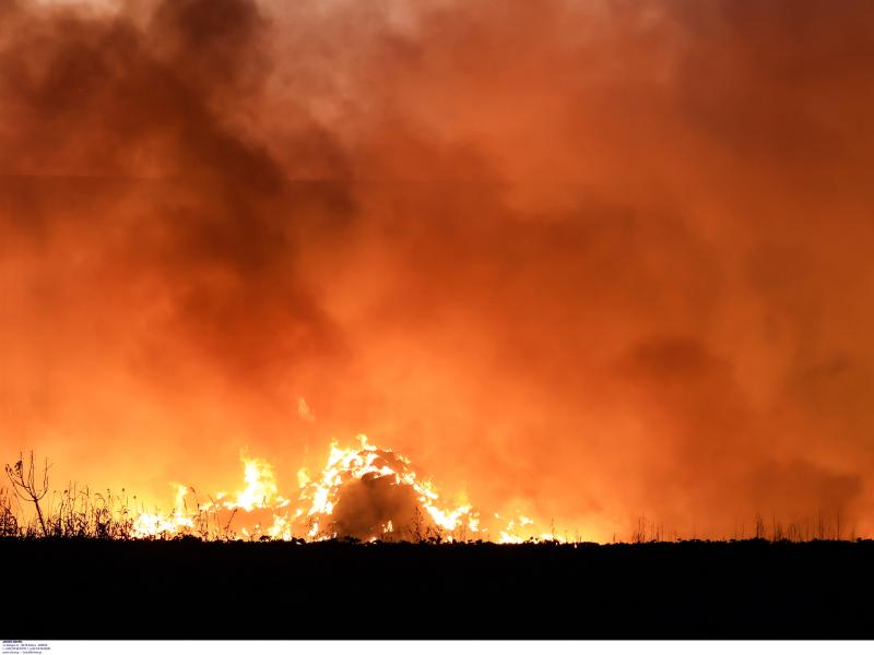 Τουλάχιστον 17 μαθητές σκοτώθηκαν από πυρκαγιά στον κοιτώνα σχολείου 