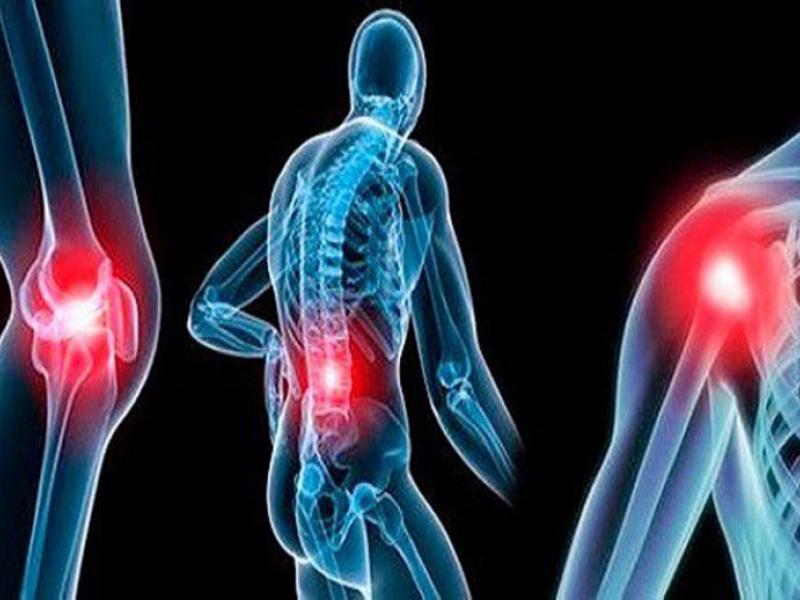 sklirinsi kata plakas