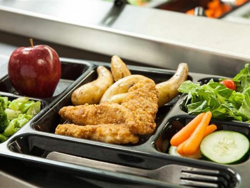 Σχολικά Γεύματα: Τα κριτήρια επιλογής τμημάτων 