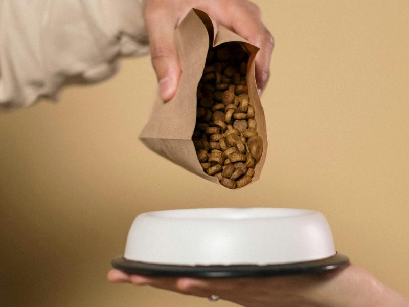 Τροφή για κατοικίδια