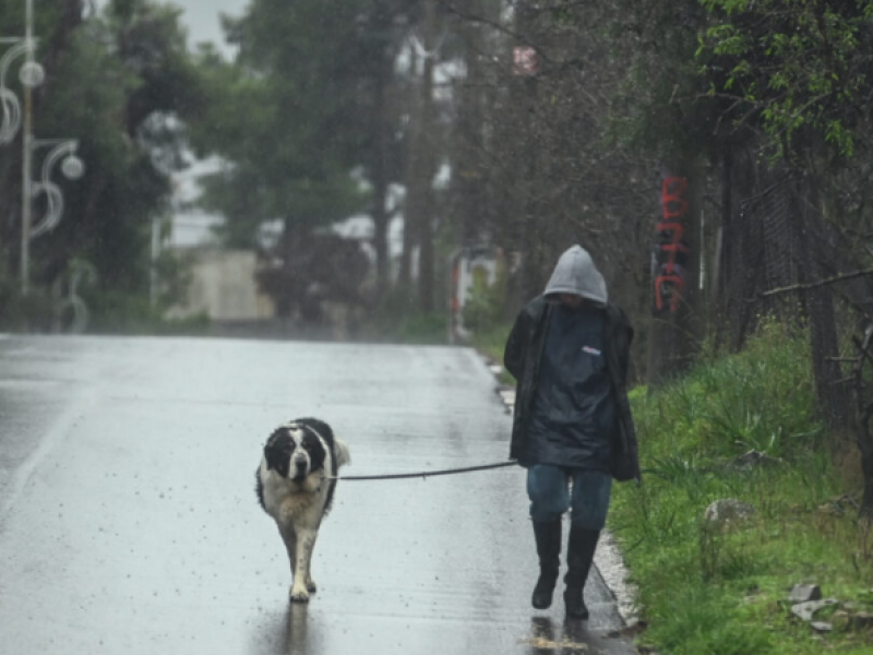 Ιδιοκτήτης περπατάει με το σκύλο του εν μέσω βροχής