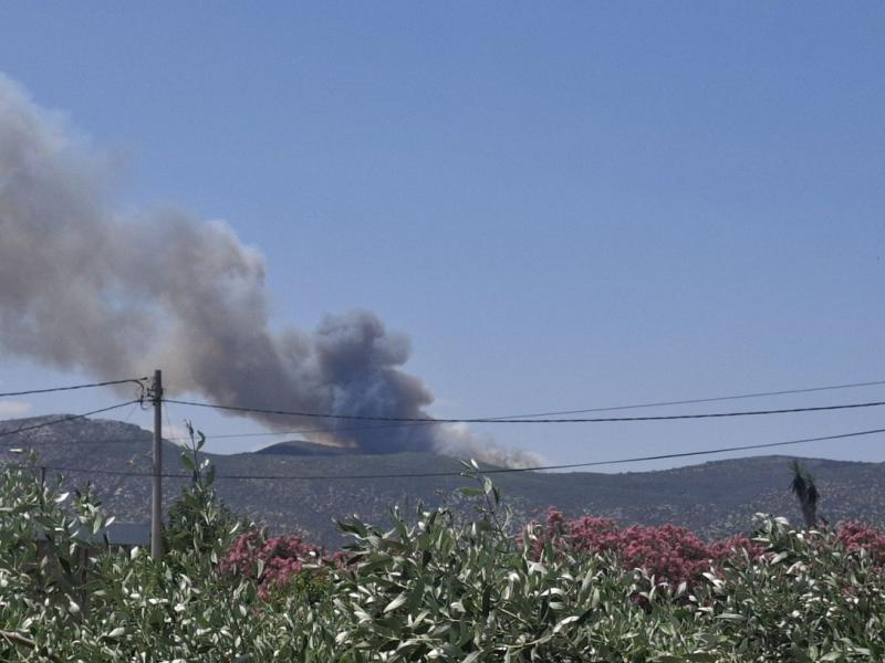 Φωτιά στο Άνω Σούλι Μαραθώνα – Μήνυμα από το 112 στους για εκκένωση